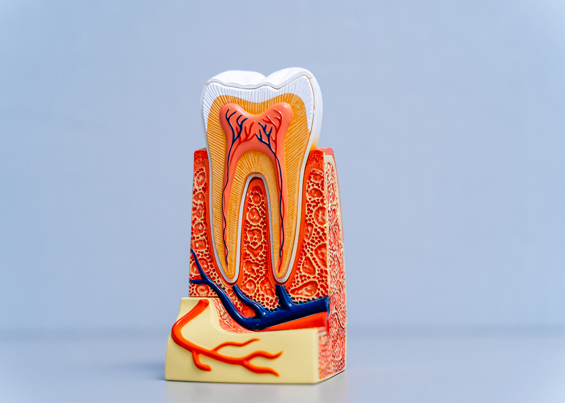 Healing after root canal therapy